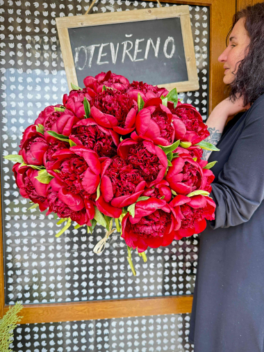 Kytice pivoněk, rudých