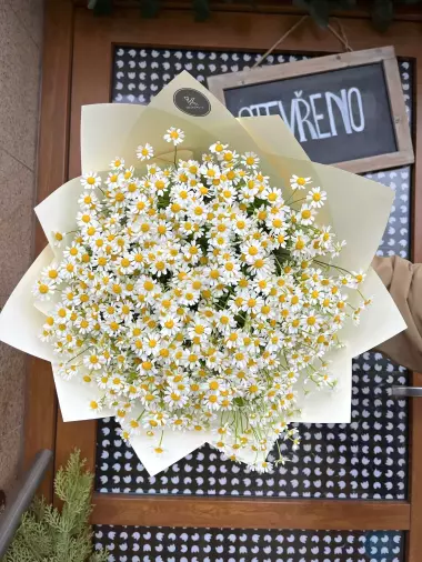 Heřmánková kytice