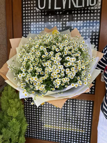 Heřmánková kytice