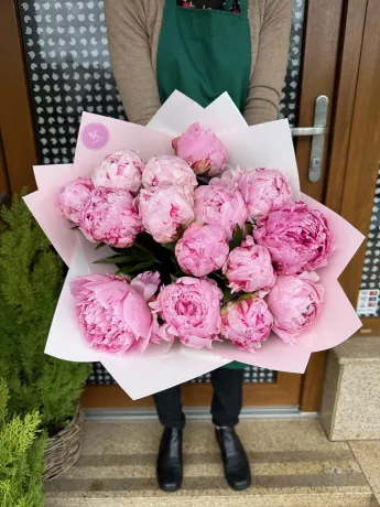 Pivoňky světle růžové