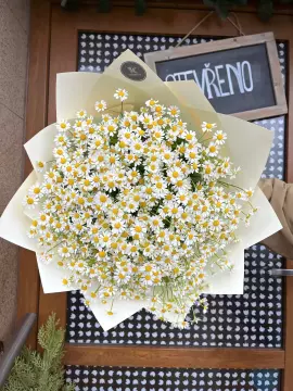 Heřmánková kytice