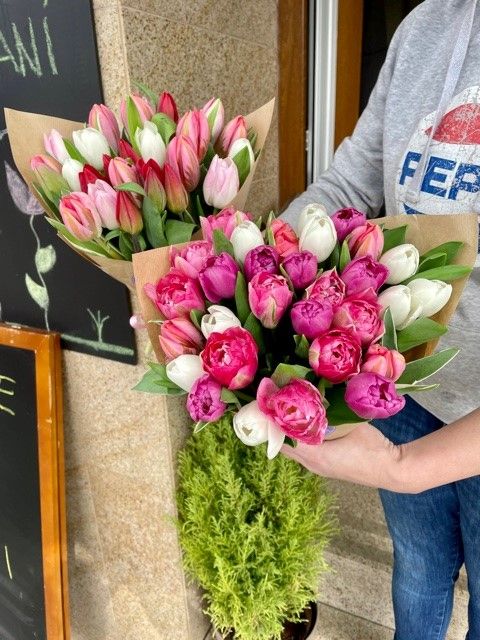 Kytice tulipánů online květinářství Praha