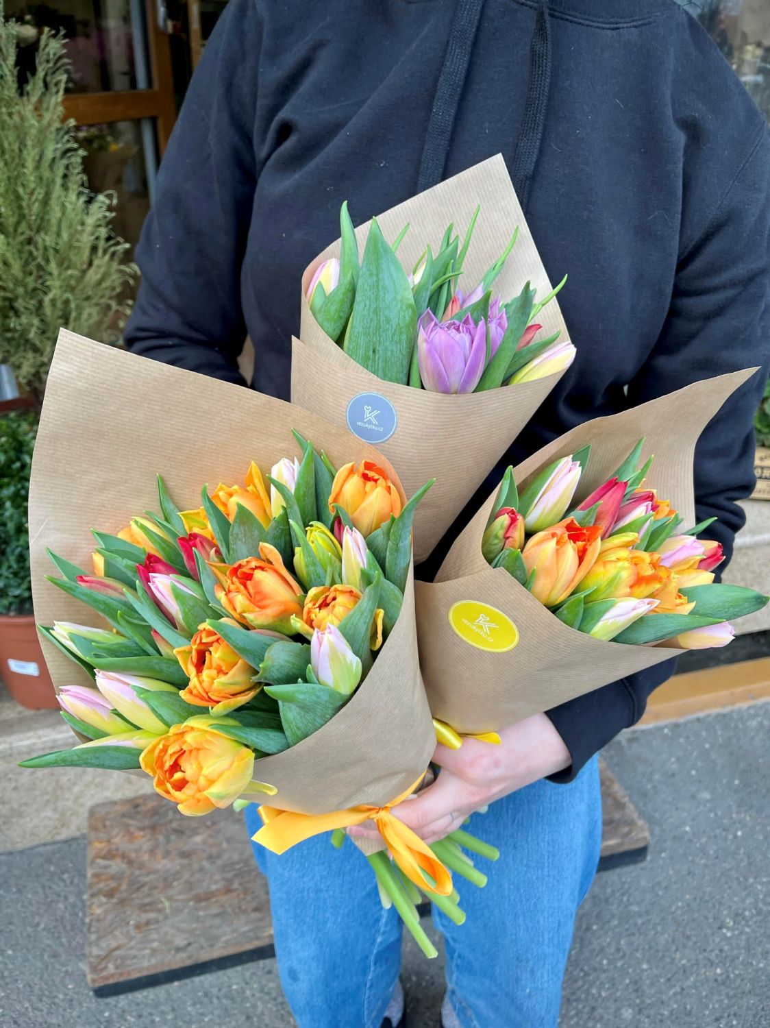 tulipány prodej online