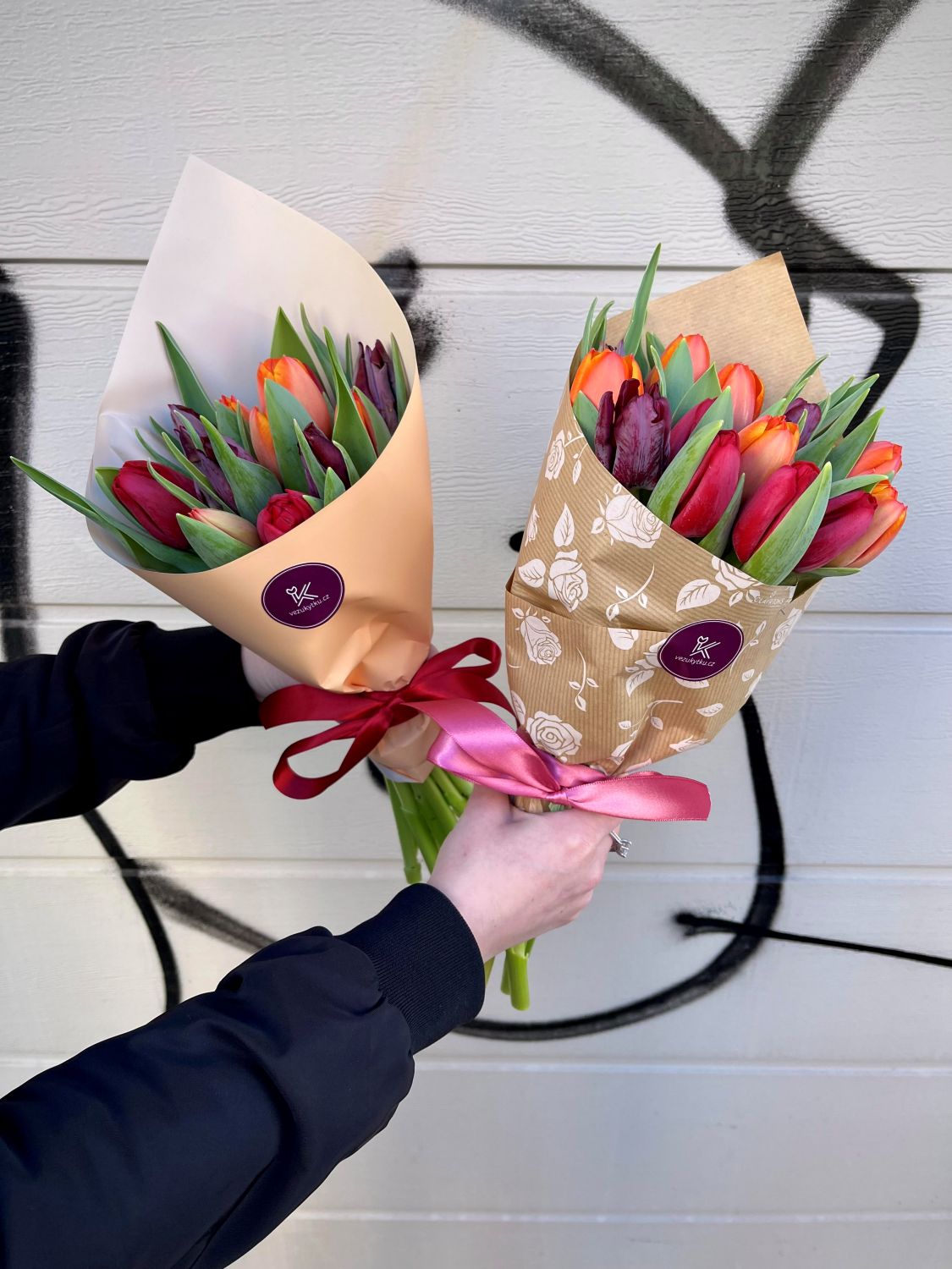 Tulipány Holandsko
