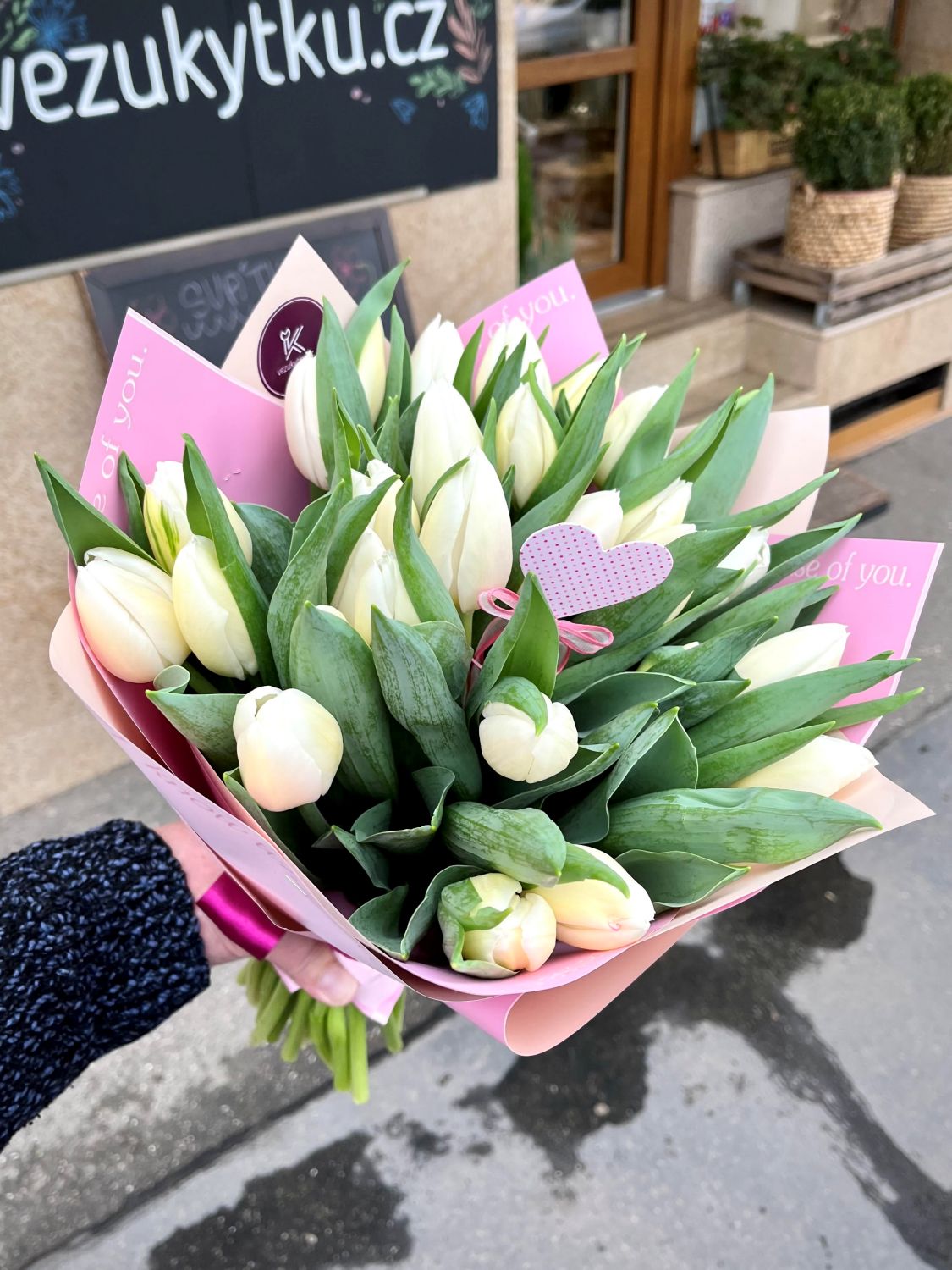 Tulipány Strašnice