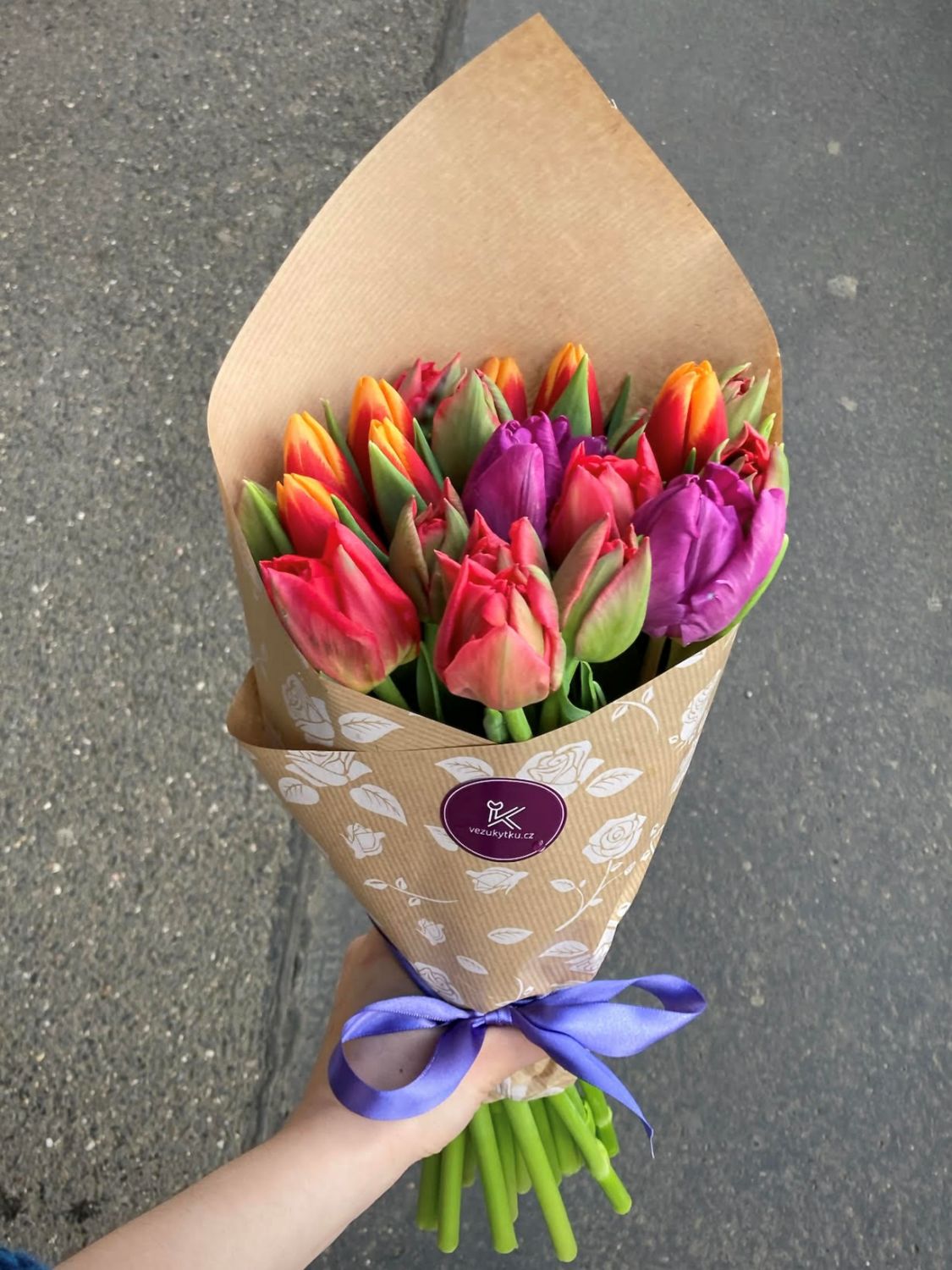 Holandské tulipány