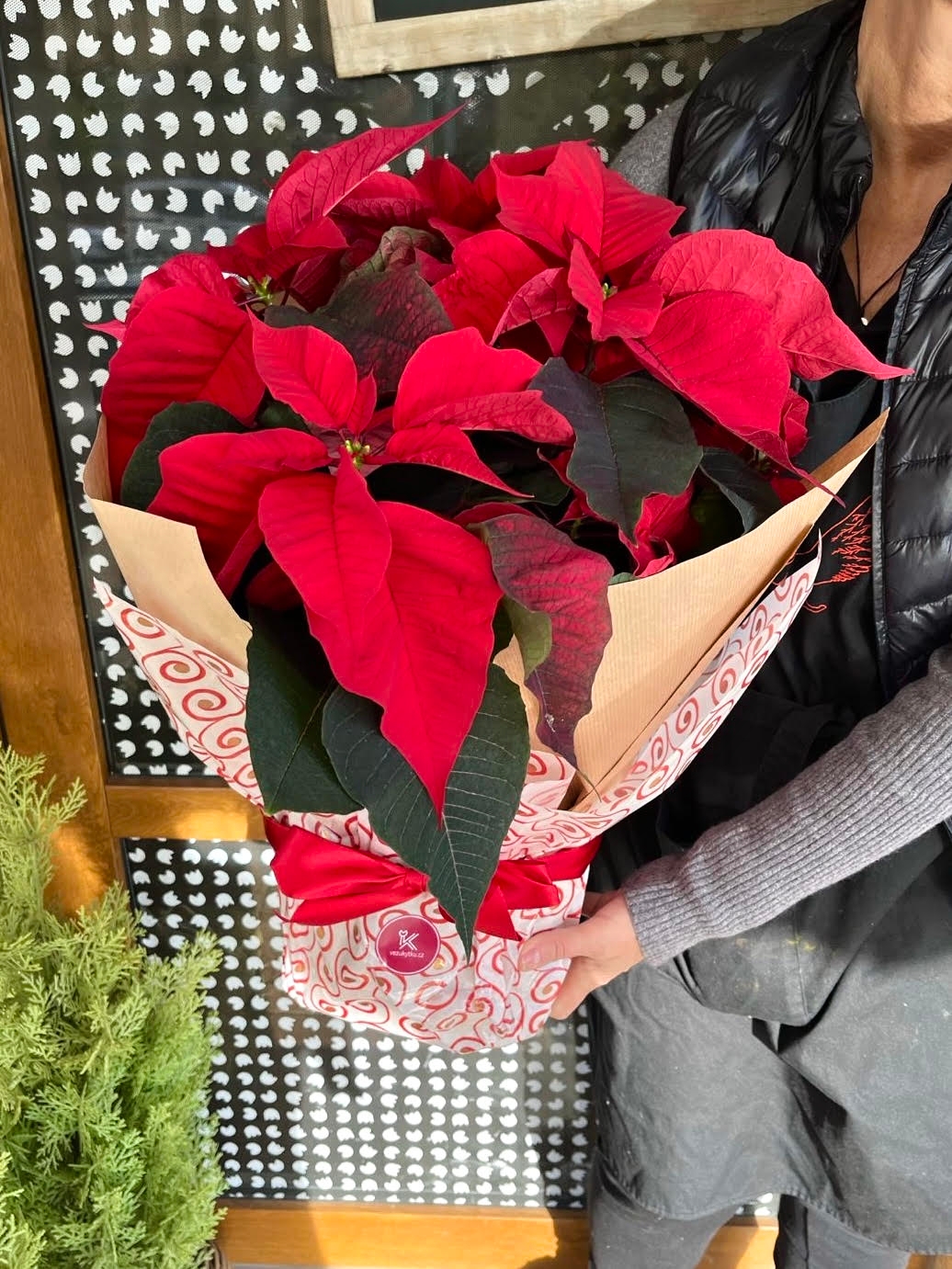 Doručení vánoční hvězdy po Praze