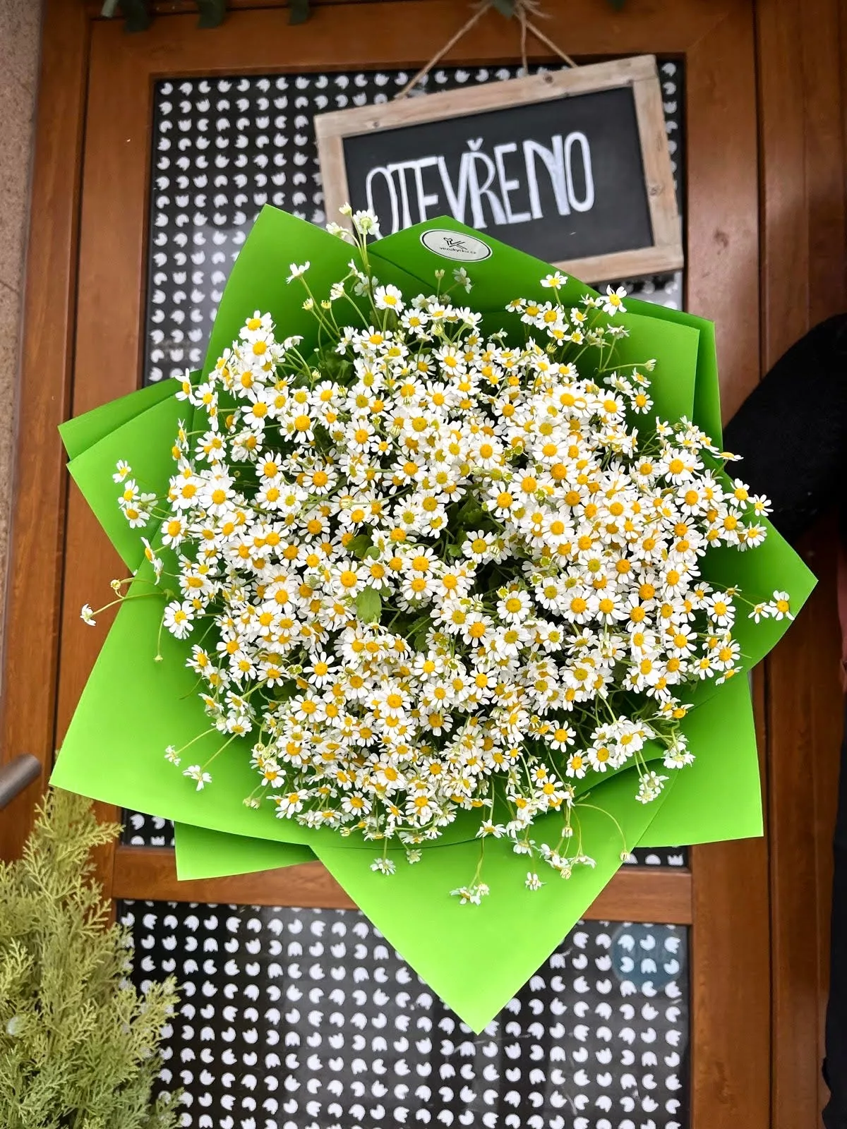 Nabídka květinářství Praha - heřmánková kytice