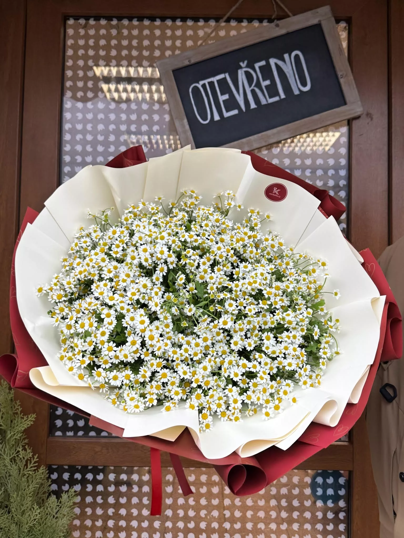 Objednání kytice heřmánku