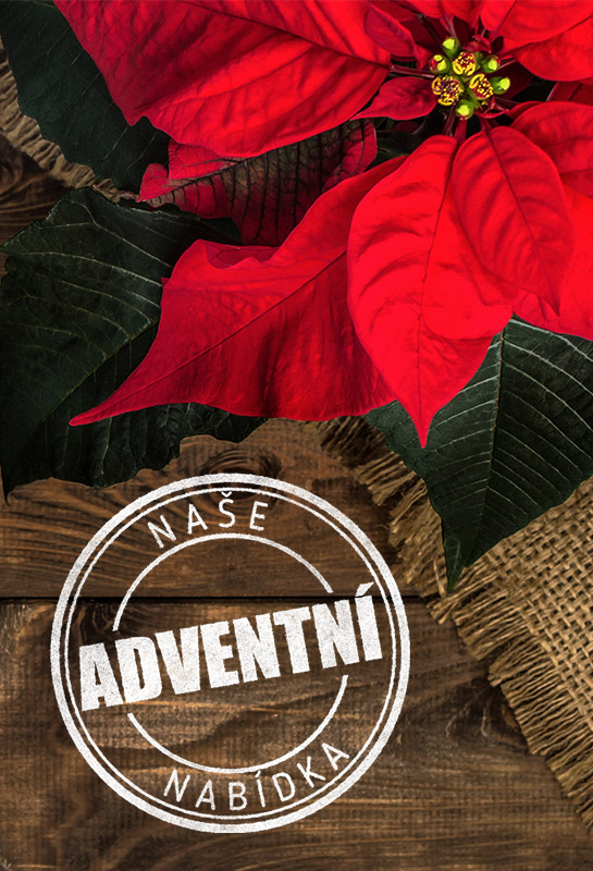 header-advent-2020-vezukytku-545x800.jpg