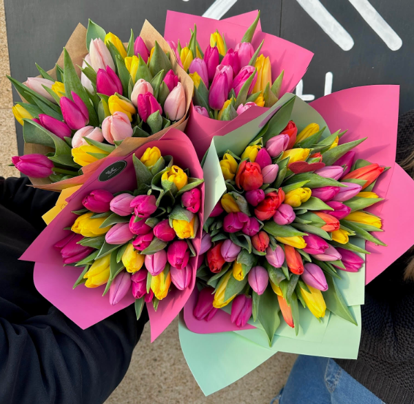 Kytice tulipánů jako dárek