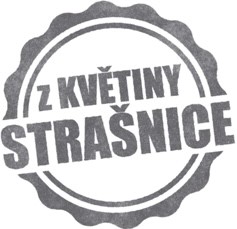 Květinářství Praha 10 Strašnice online