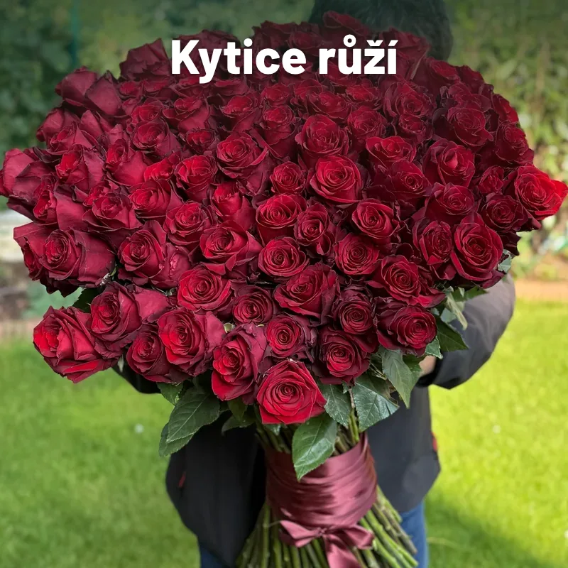 Kytice růží – rozvoz růží po Praze
