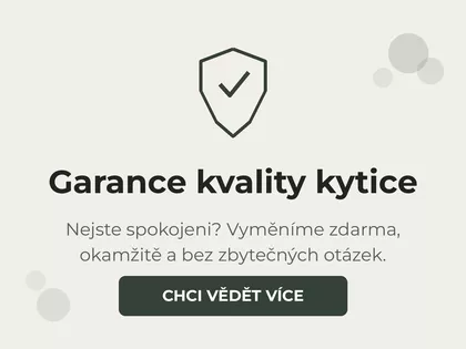 Rozvoz květin Praha